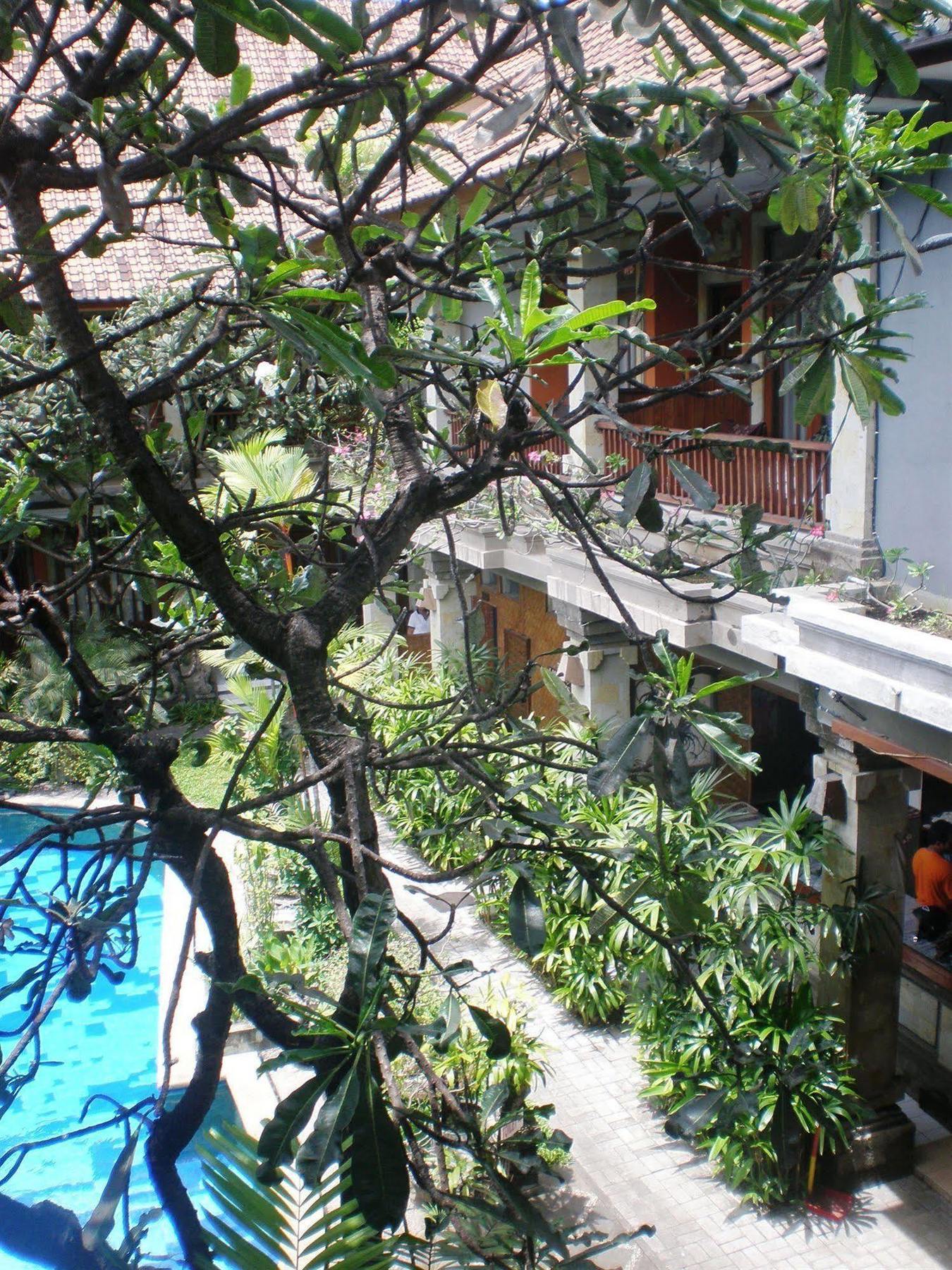 Swastika Guesthouse Sanur Exteriér fotografie